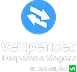 VExpenses logo