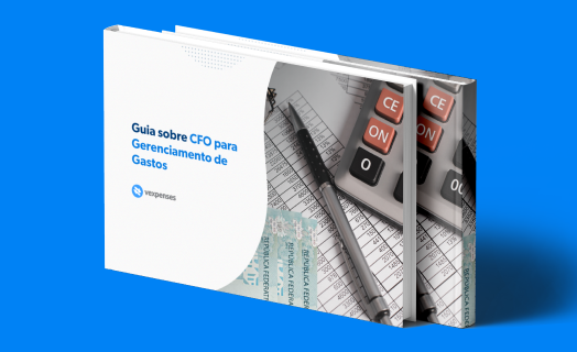 guia do cfo gerenciamento de gastos