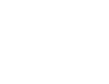 Logo VExpenses